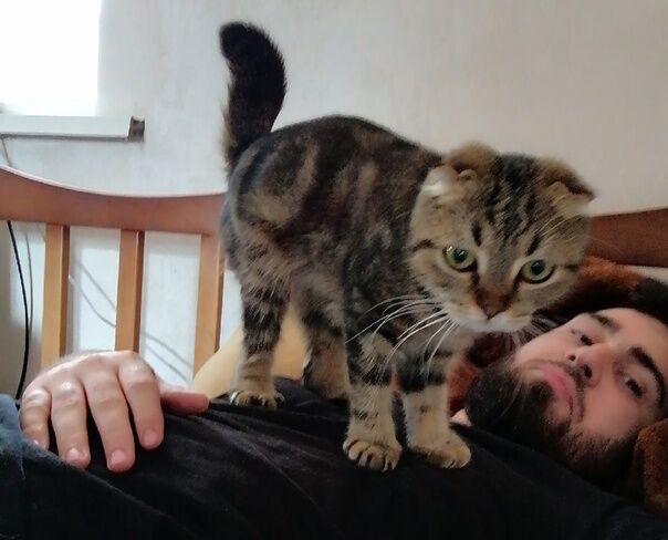 ���������� ������, ���� ������� Munhgauzen, 30 ���, ������������ ��� ������, ����� � ���������, c�������� ���������, ���������