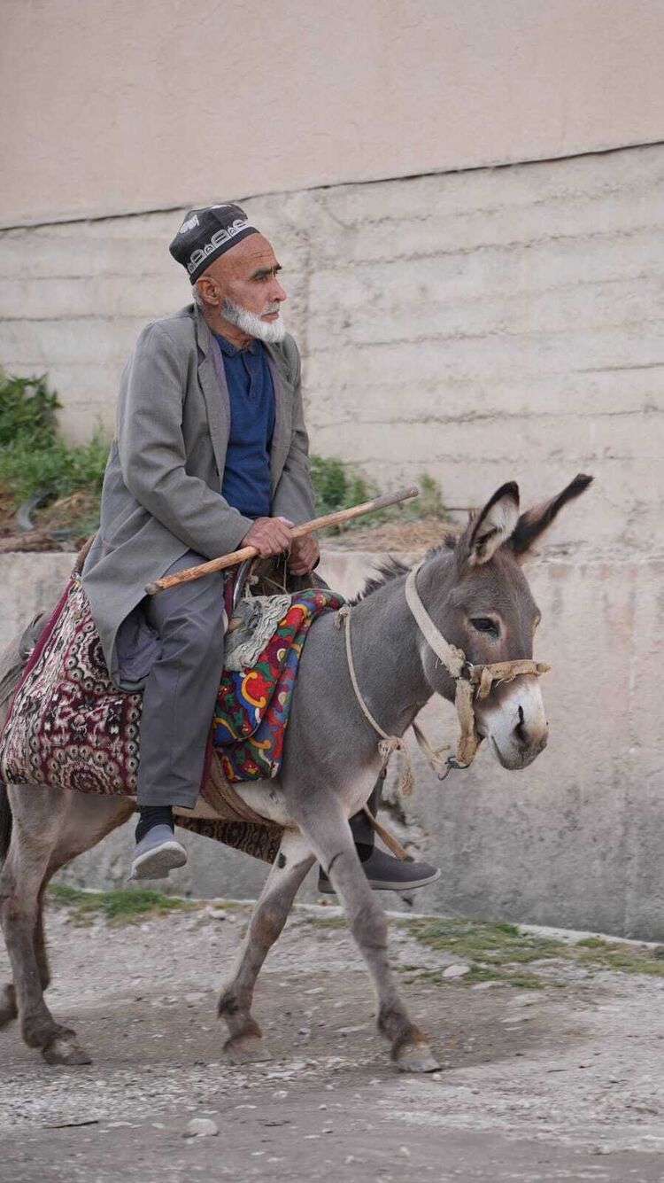 ���� 54863878 ������� �����, 38 ���, ���� ���������� � ����������