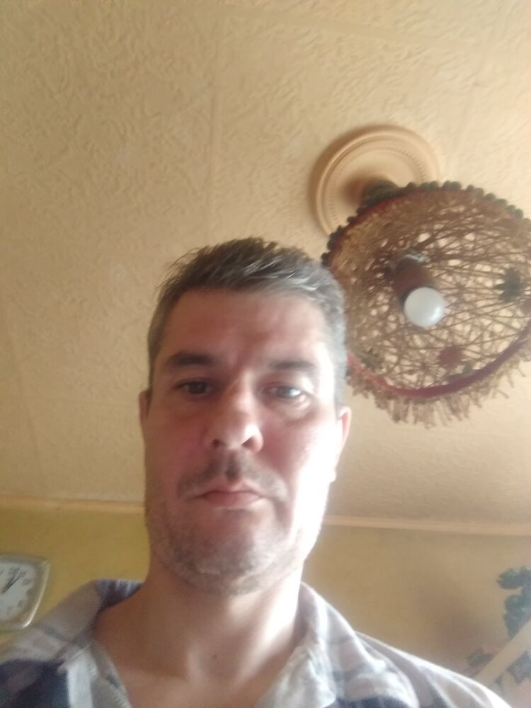  53990178  , 40 ,    