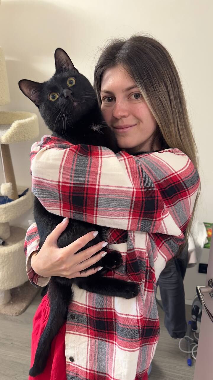 ���� 54003078 ������� ����, 29 ���, ���� ���������� � ������