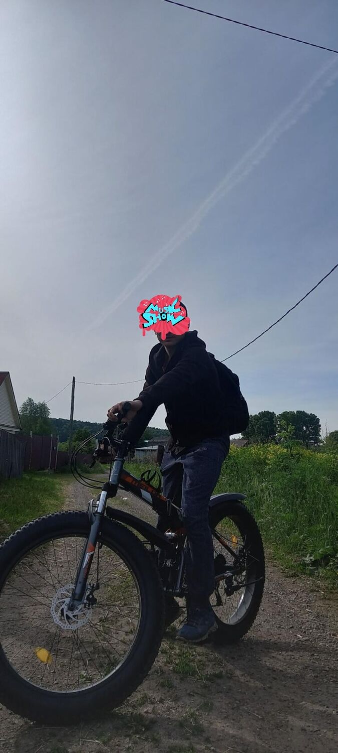  36356178  , 22 ,    