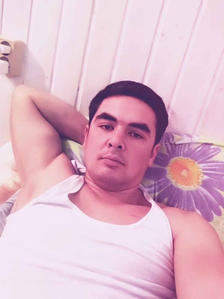  20319728  , 33 ,    