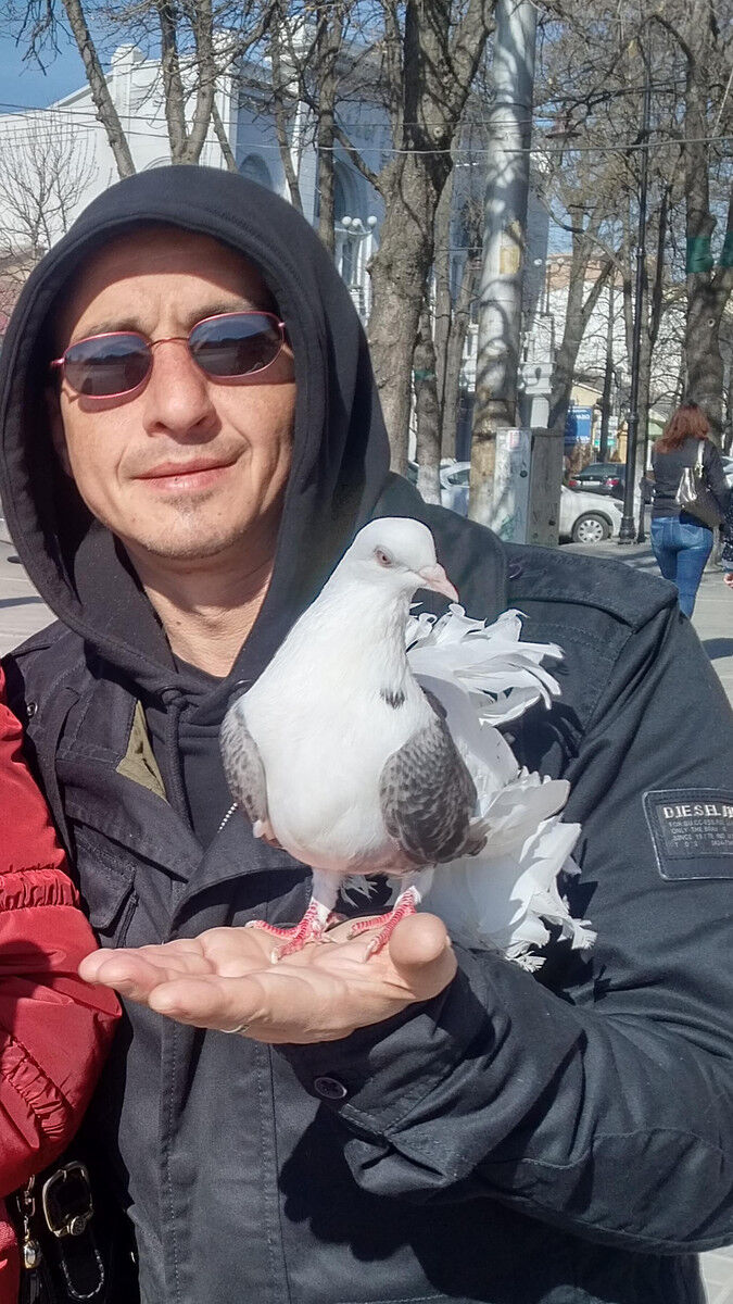  ,   , 46 ,   