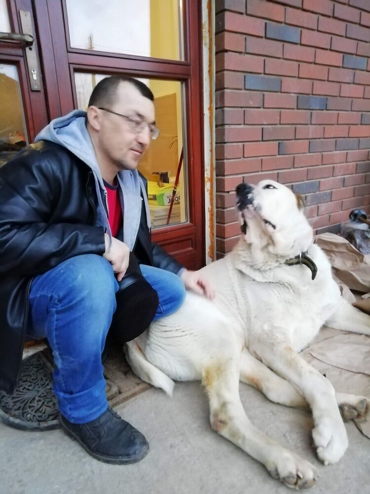 ���� 21001378 ������� �����, 49 ���, ���� ���������� � ������