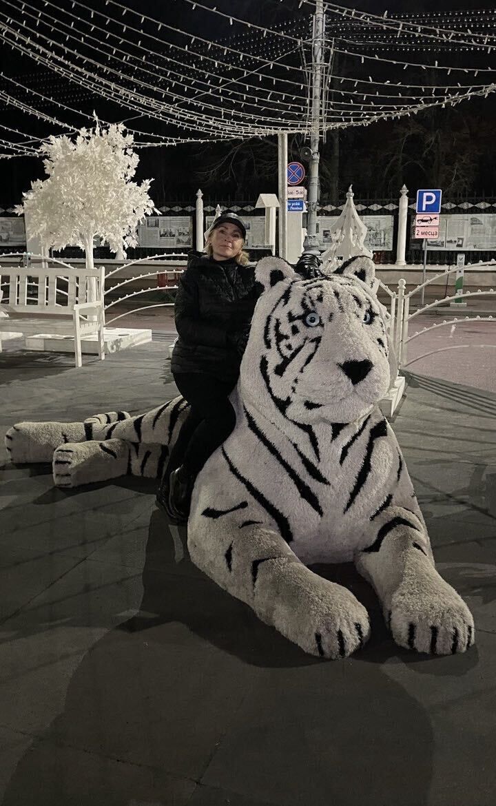  51295548  , 53 ,    -