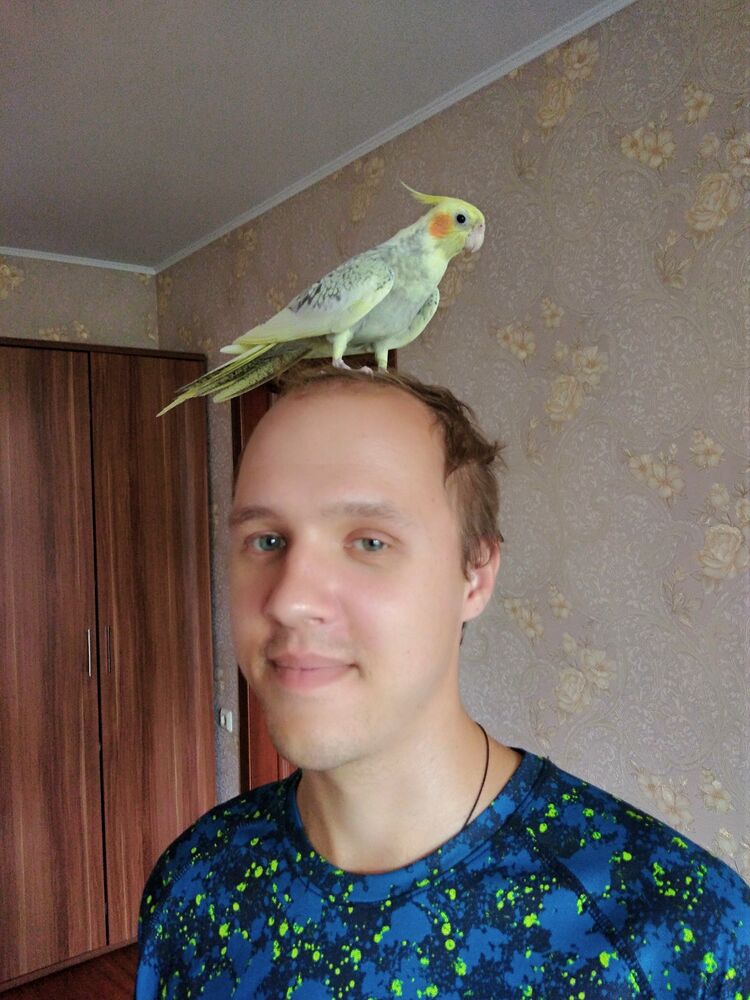 ���������� �����, ���� ������� ������, 32 ����, ������������ ��� ������, ����� � ���������, c�������� ���������, ���������