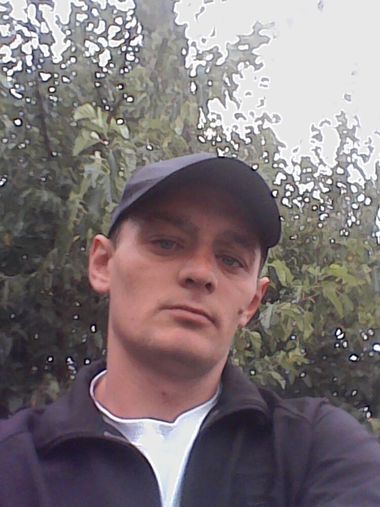  27113578  , 38 ,    