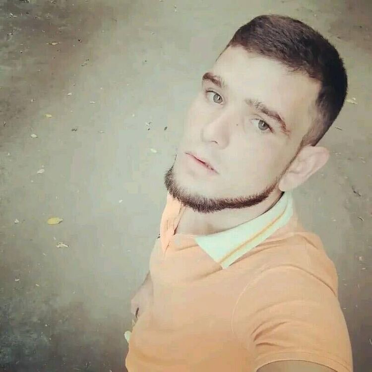  40203348  , 29 ,    