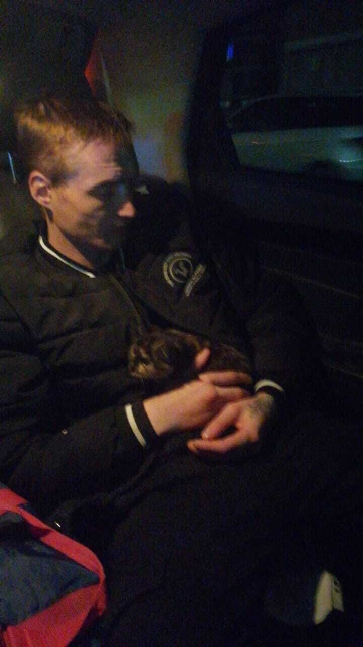 ���������� ���������, ���� ������� Andrey, 34 ����, ������������ ��� ������, ����� � ���������, c�������� ���������, ���������