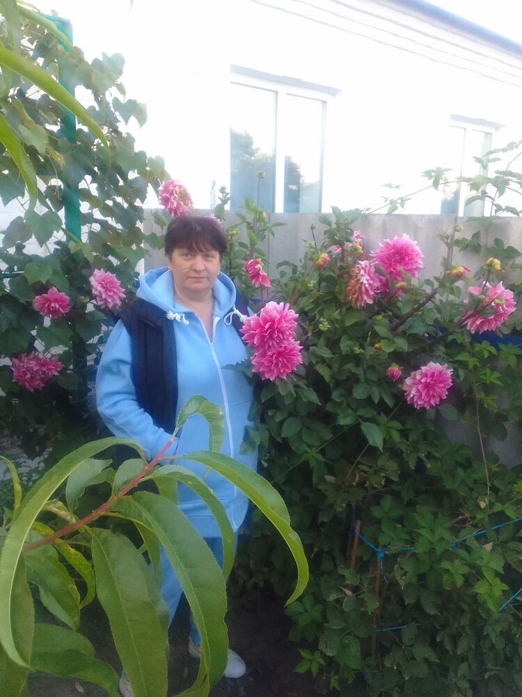 ���������� ��������, ���� ������� �������, 54 ����, ������������ ��� c�������� ���������, ���������