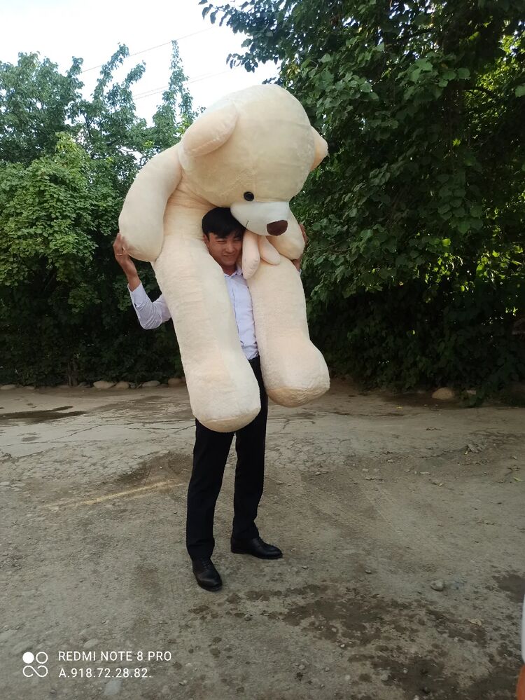 ���������� �����-���������, ���� ������� �����, 34 ����, ������������ ��� c�������� ���������