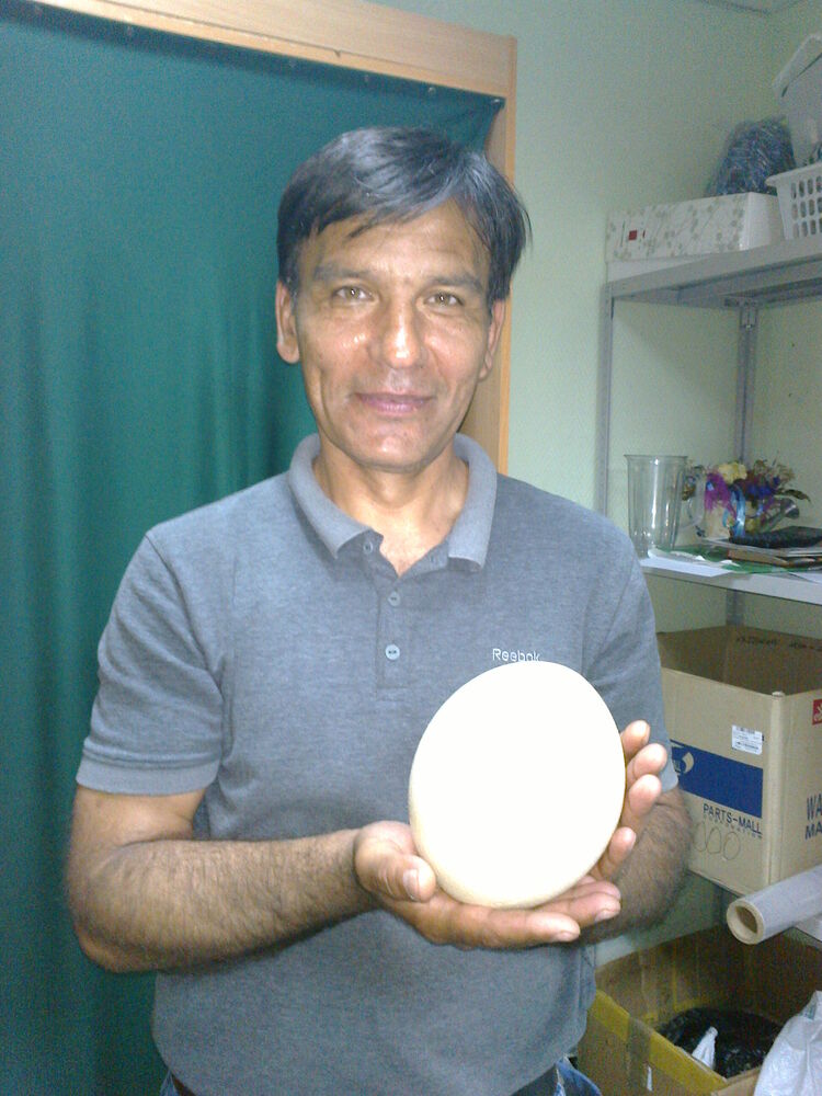  ,   , 60 ,   ,   