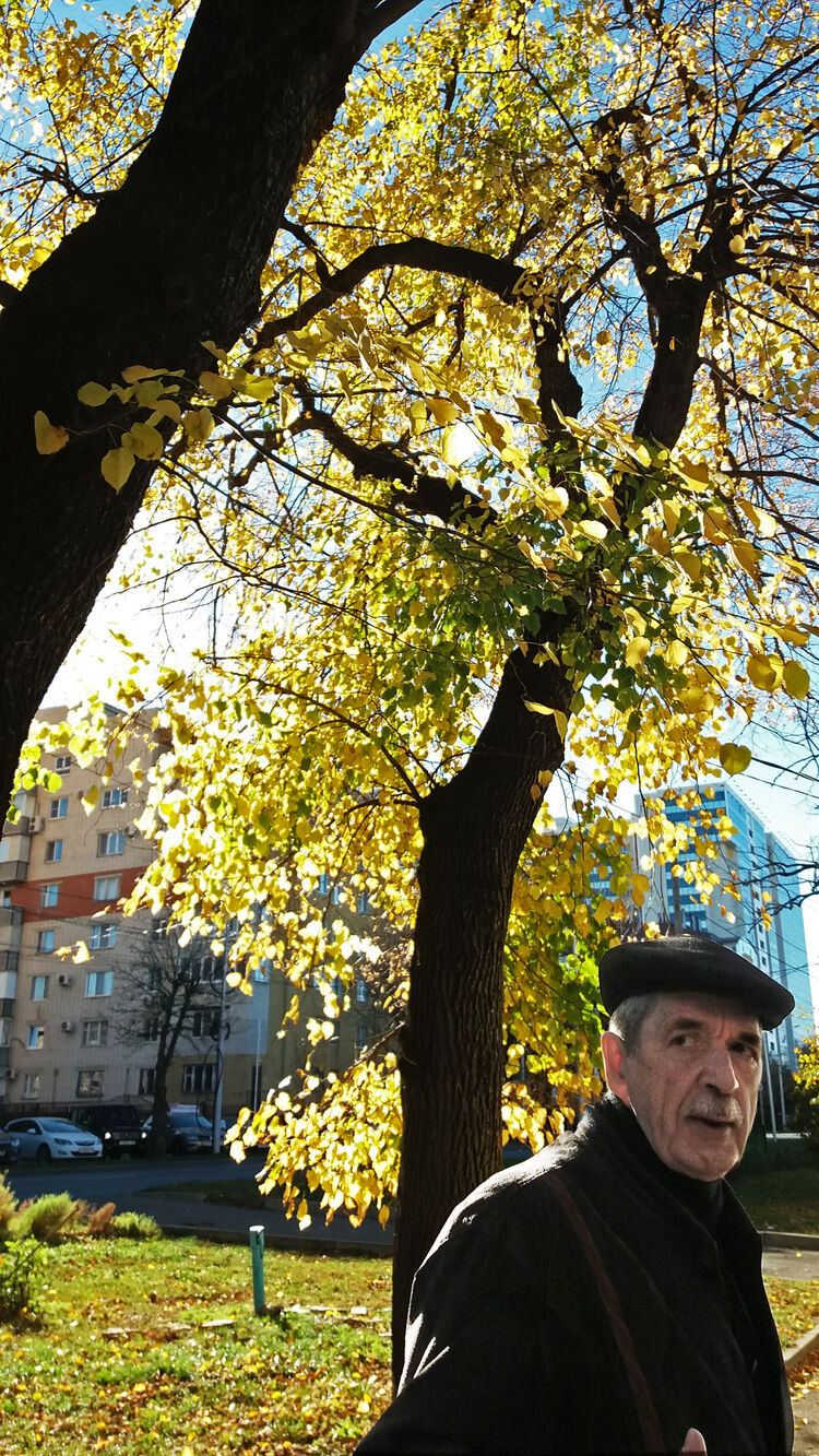 ���� 24629708 ������� ������, 73 ����, ���� ���������� � ����������