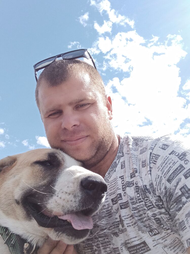 ���� 31208438 ������� �������, 33 ����, ���� ���������� � ���������