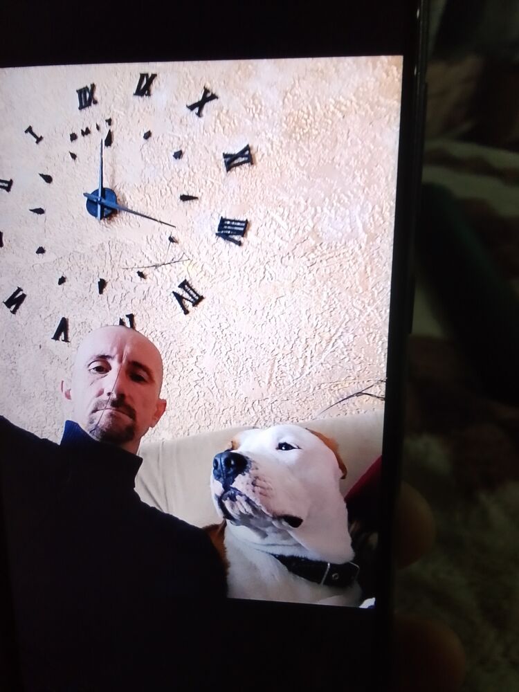 ���� 55326538 ������� SeRcei, 41 ���, ���� ���������� � �����