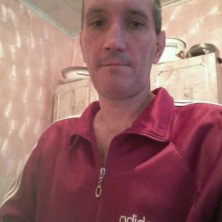 ���� 24654368 ������� ���������, 48 ���, ���� ���������� � ����������