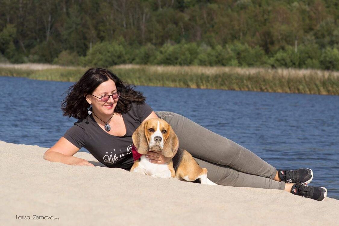 ���� 24339468 ������� �����, 48 ���, ���� ���������� � ������������