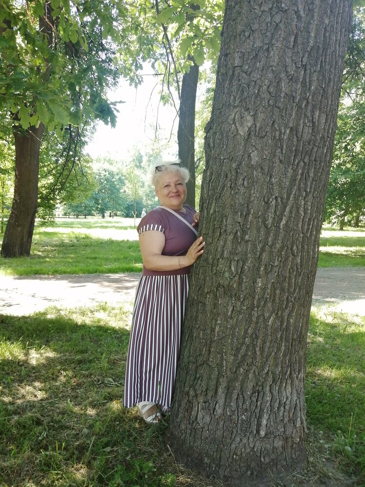  28337388  , 60 ,    -