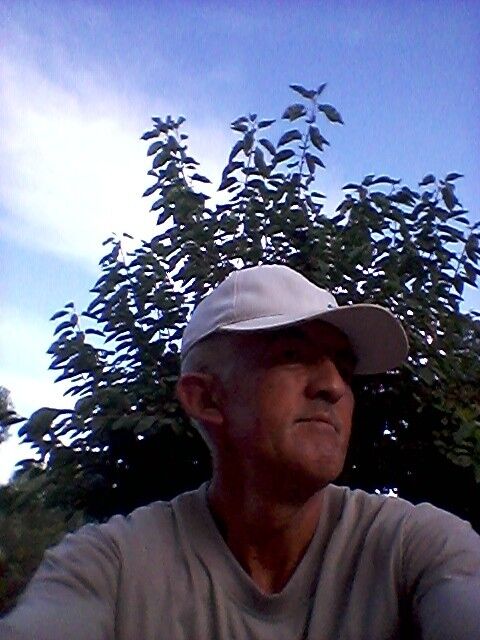 ���� 16681888 ������� ����, 51 ���, ���� ���������� � ������