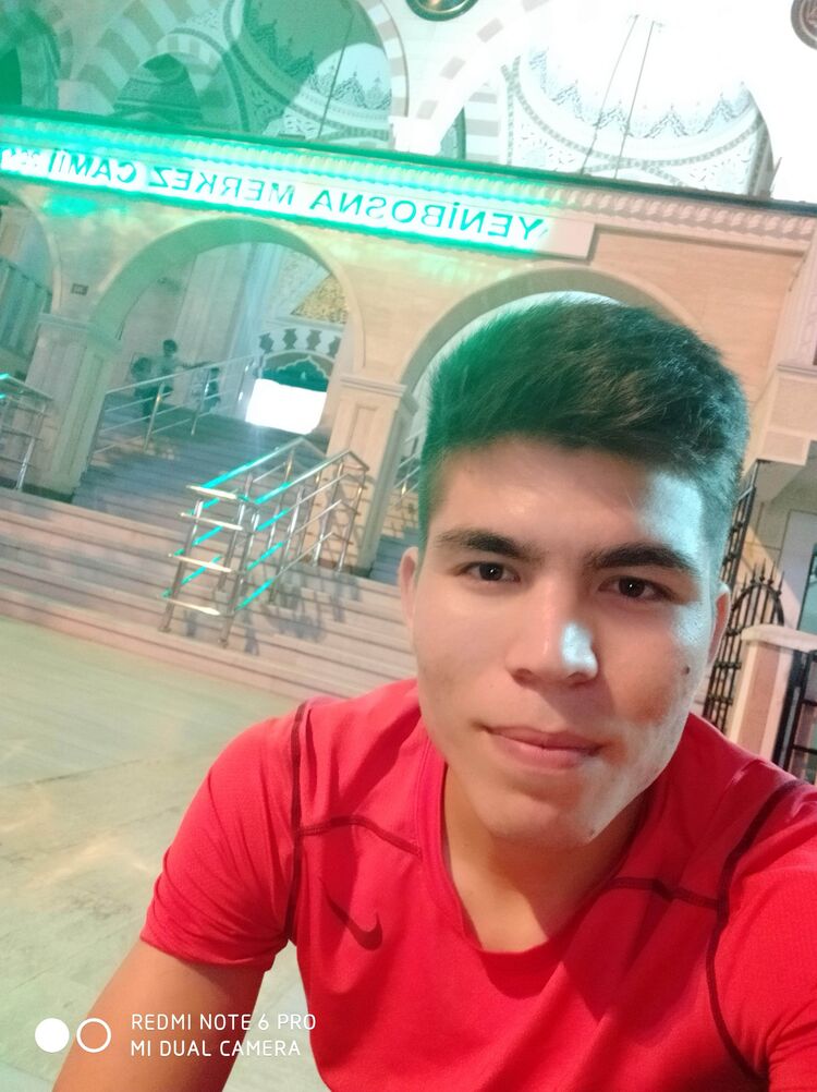  51304869  , 28 ,    