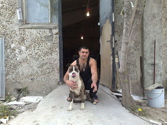 ���� 54354428 ������� �������, 42 ����, ���� ���������� � ������