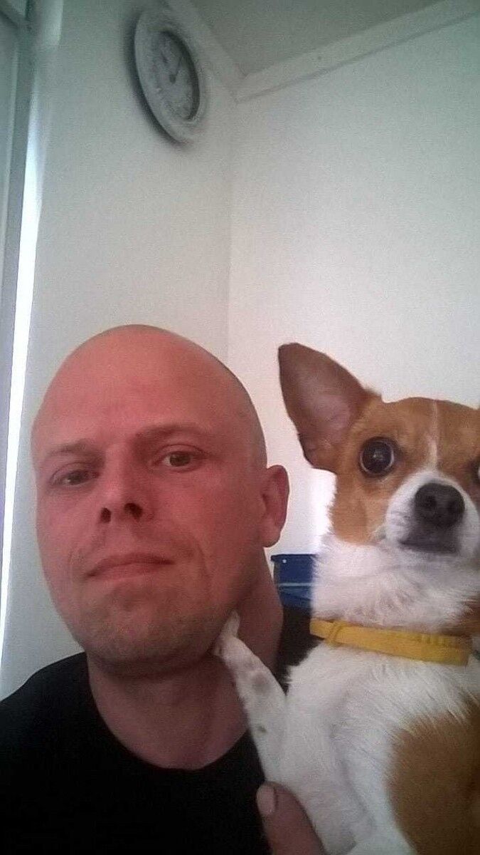 ���������� ������, ���� ������� ���������, 44 ����, ������������ ��� ������, ����� � ���������, c�������� ���������