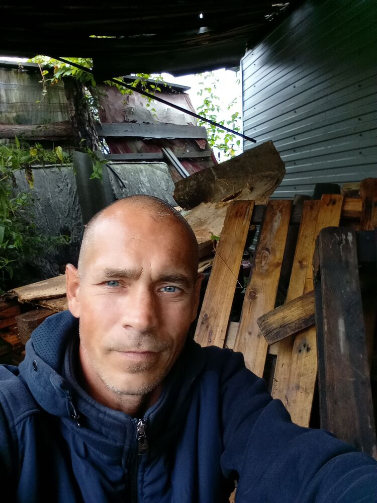  46784328  , 41 ,    
