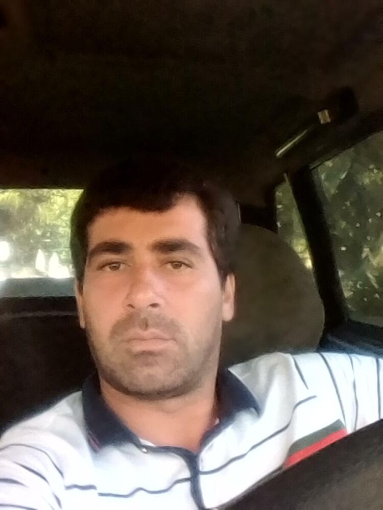  20458348  , 37 ,    