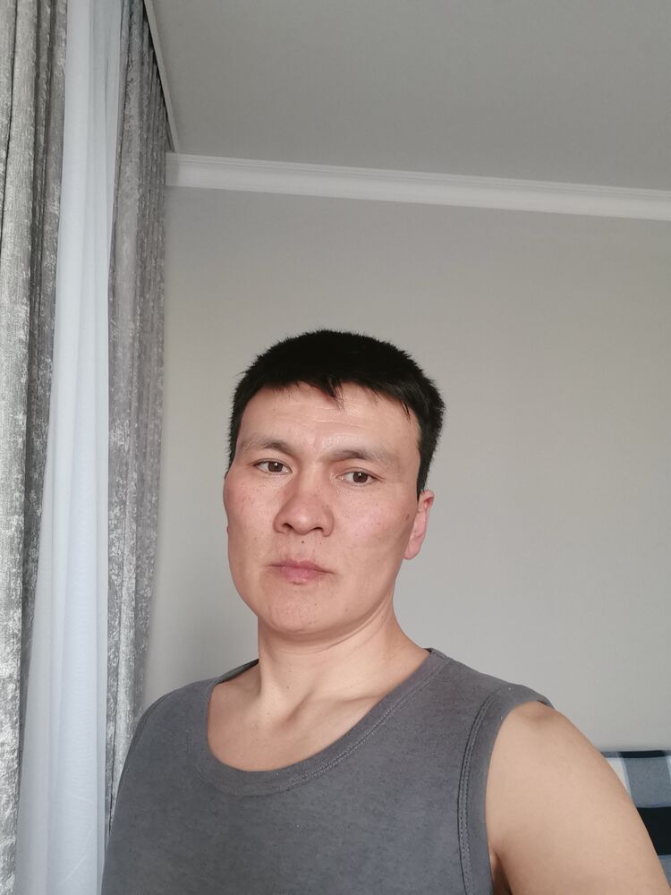  49572288  Ermak, 37 ,    