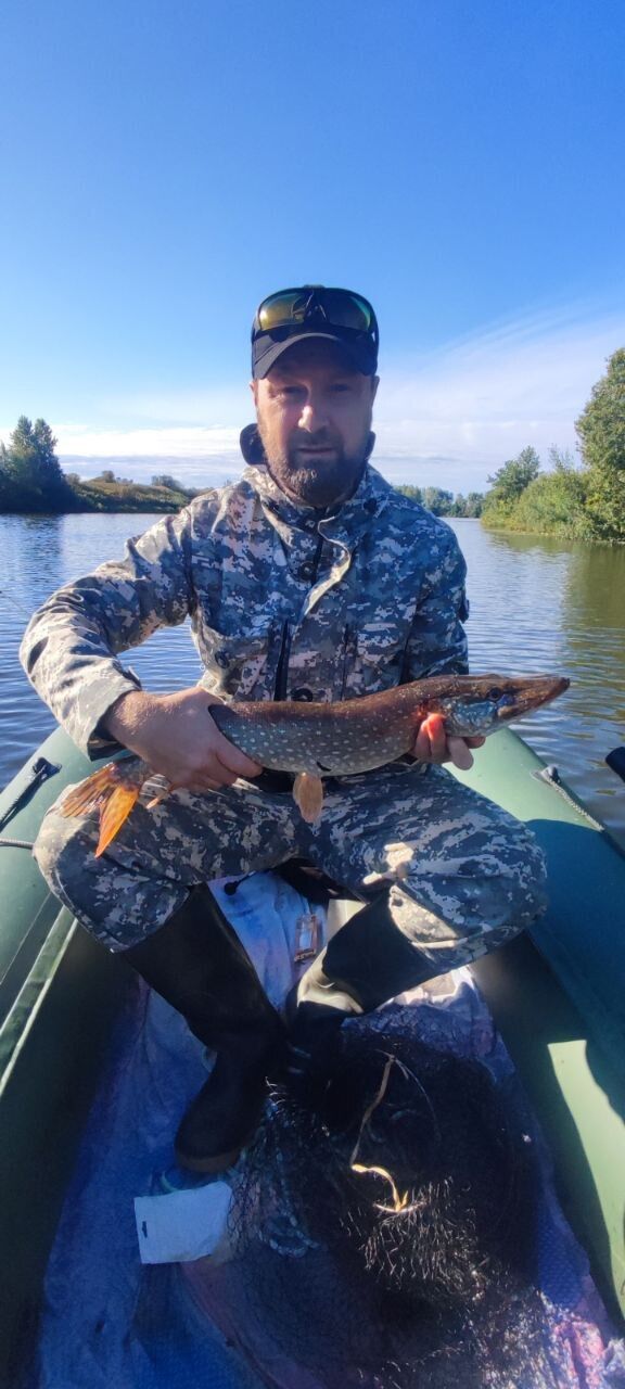 ���� 55090618 ������� ���������, 38 ���, ���� ���������� � ��������