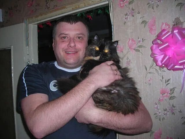  ,   , 53 ,   ,   , 