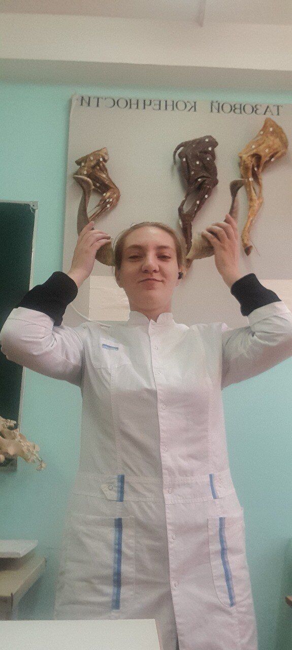 ���������� ����, ���� ������� ����, 24 ����, ������������ ��� ������, ����� � ���������