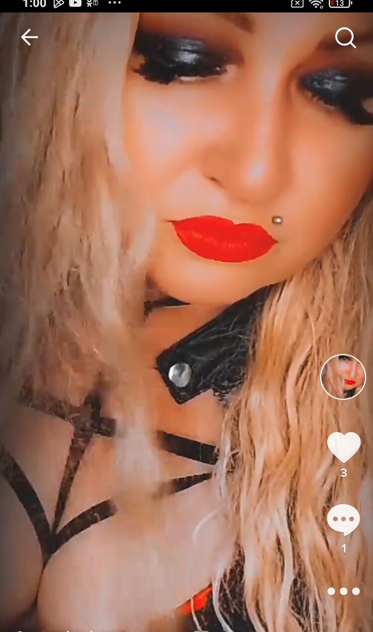  53028938  , 44 ,    