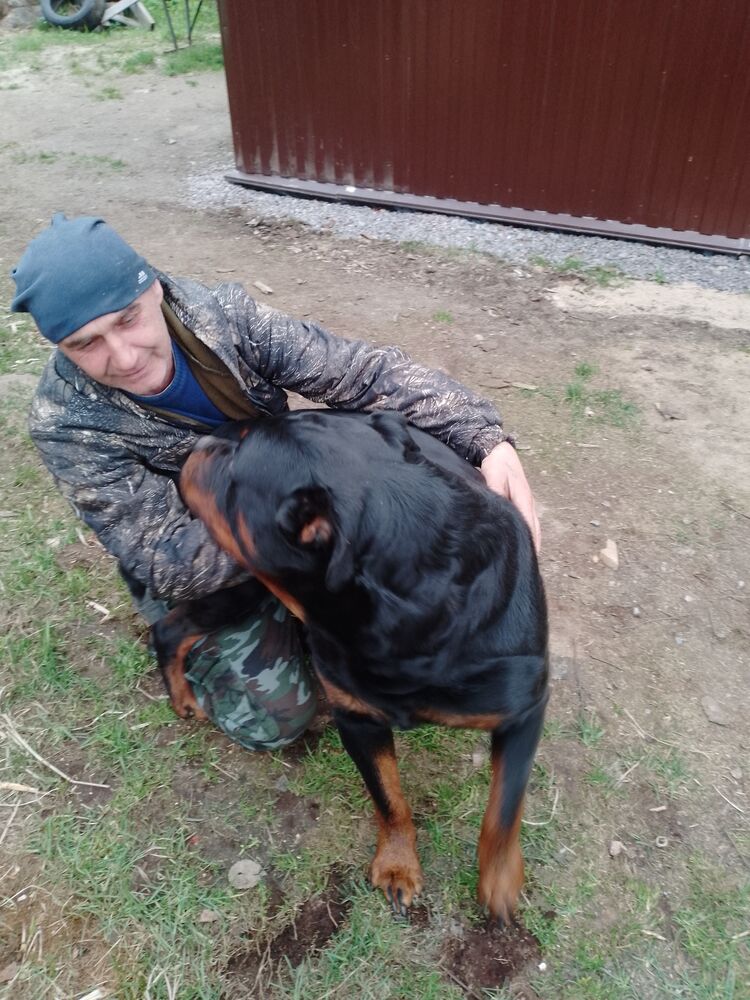  ,   , 47 ,  