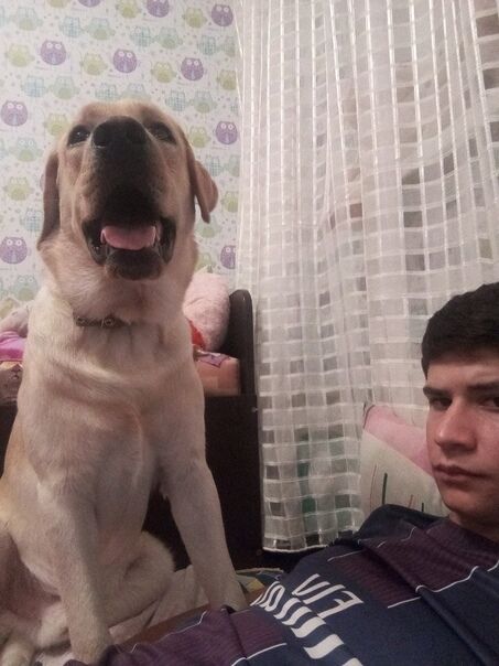 ���� 31711208 ����� �������, 23 ����, ���� ���������� � ����������