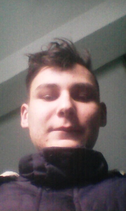  15399838  , 24 ,    