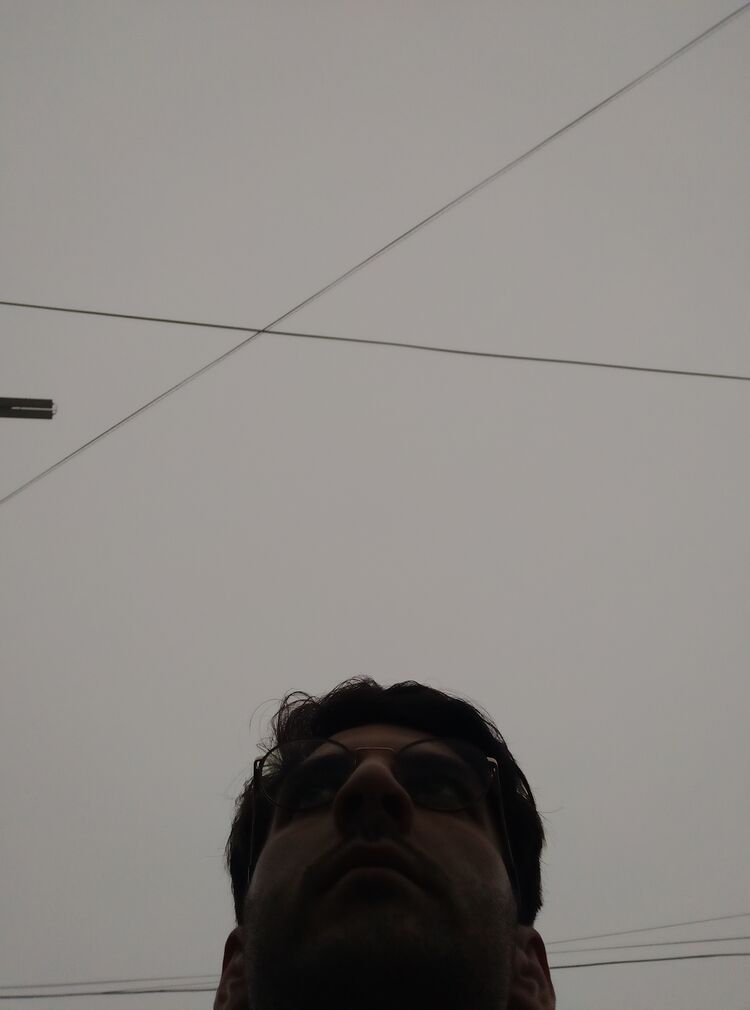  36542878  , 26 ,    