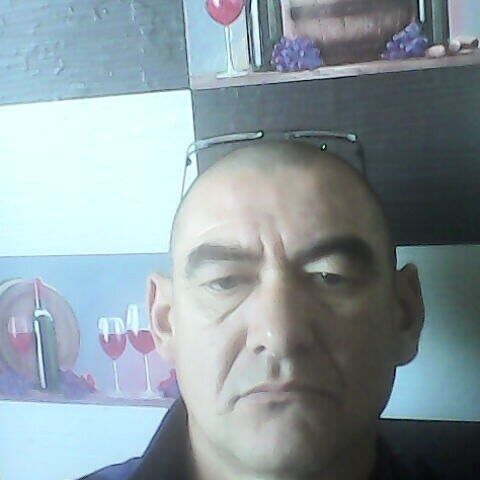 29551668  , 51 ,    