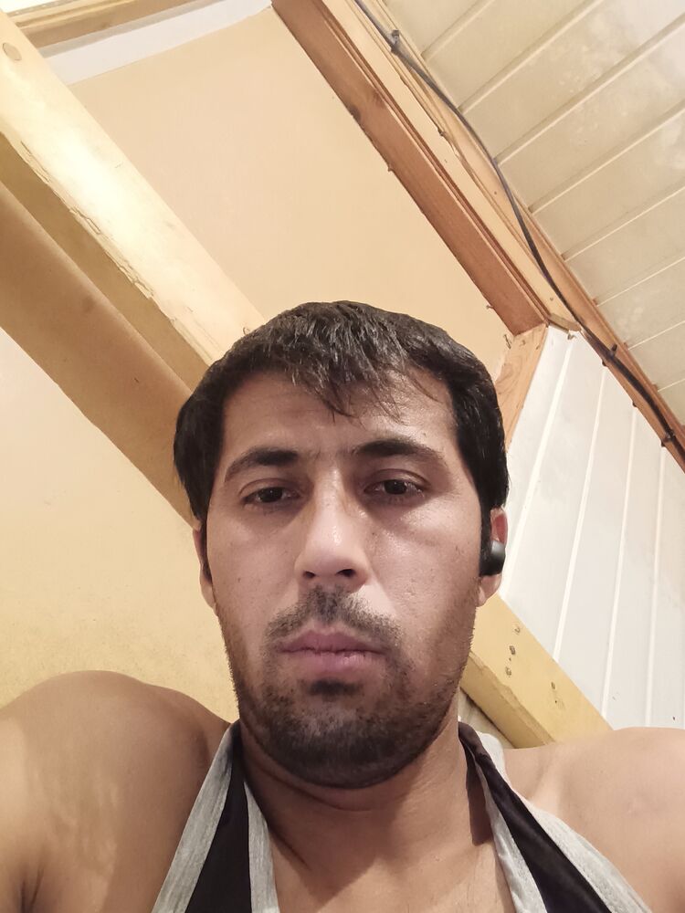 ���� 25033728 ������� �����, 38 ���, ���� ���������� � �����-����������