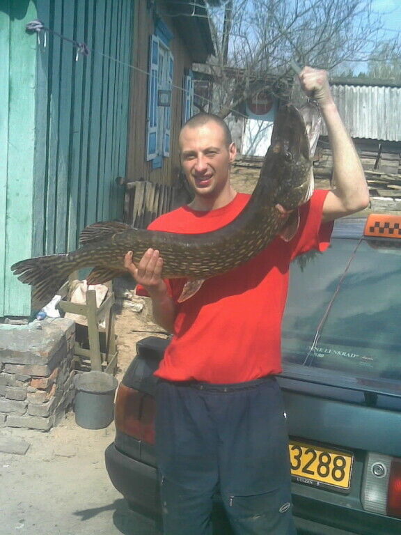 ���������� ������, ���� ������� ����, 36 ���, ������������ ��� ������, ����� � ���������, c�������� ���������, ���������