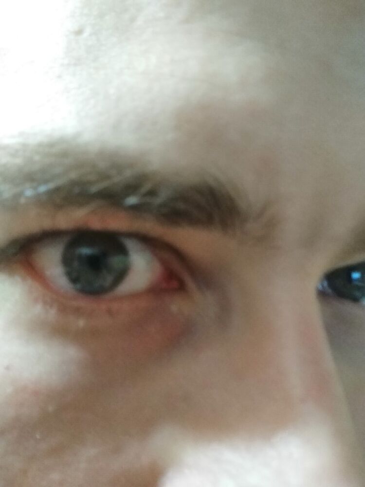 ���� 19012588 ������� ���������, 38 ���, ���� ���������� � �������