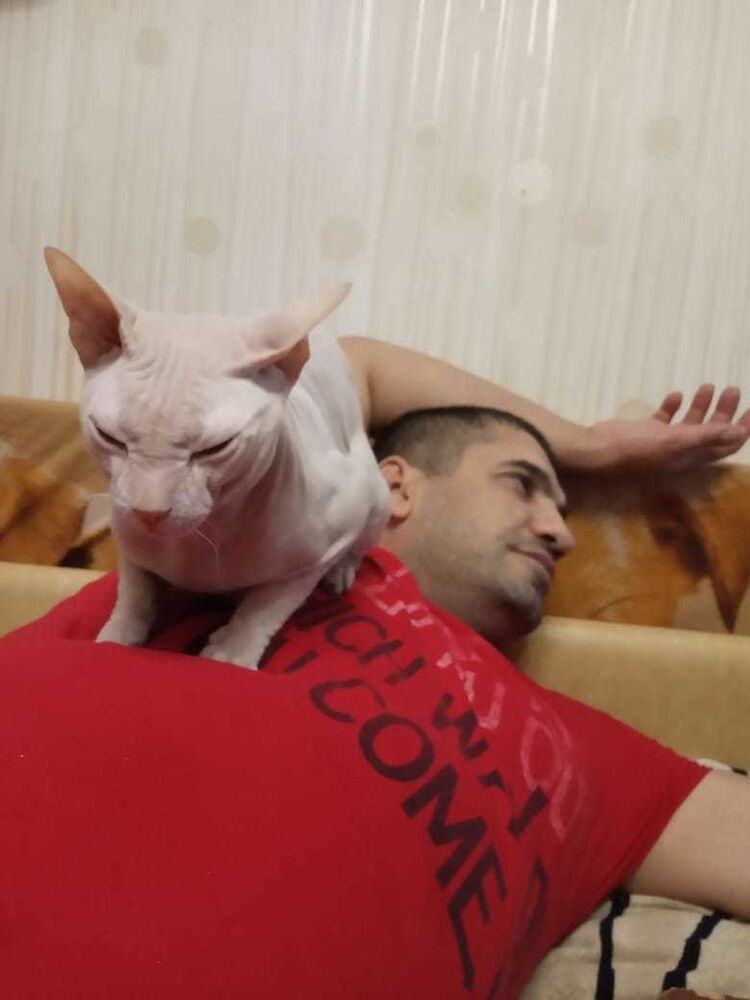 ���������� �����������, ���� ������� ������, 51 ���, ������������ ��� ������, ����� � ���������, c�������� ���������