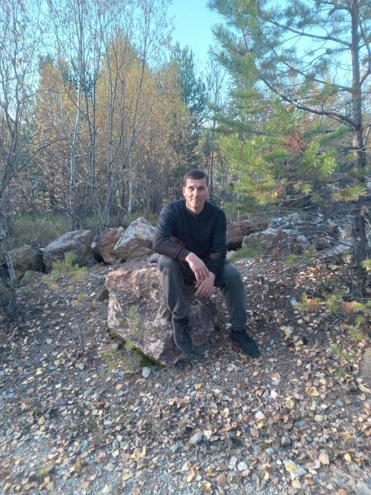  53947498  , 42 ,    -