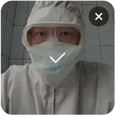  42934228  , 33 ,    