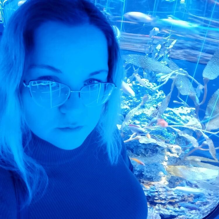 ���� 54950208 ������� �������, 39 ���, ���� ���������� � ��������