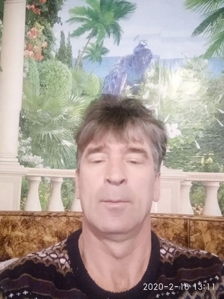  19075148  , 55 ,    
