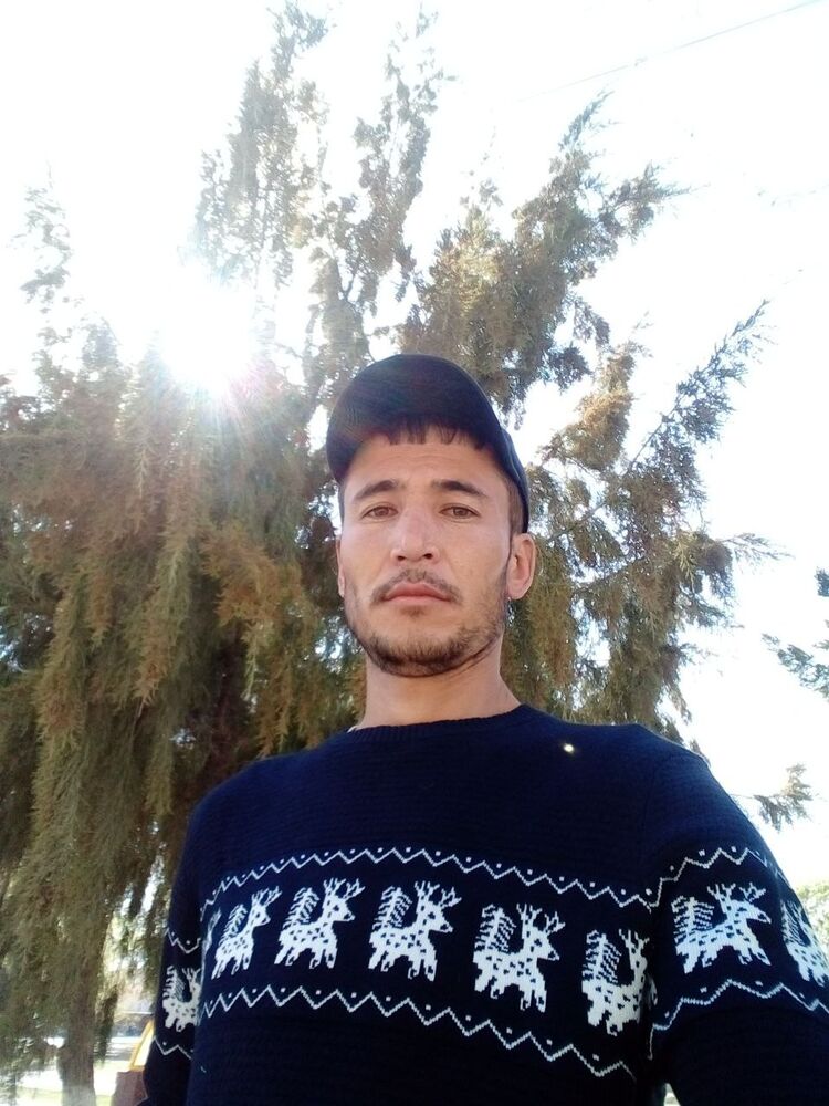 ���������� �����, ���� ������� Oybek, 36 ���, ������������ ��� ������, ����� � ���������