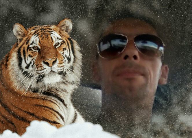 ���������� �������, ���� ������� ����������, 43 ����, ������������ ��� ������, ����� � ���������, c�������� ���������, ���������