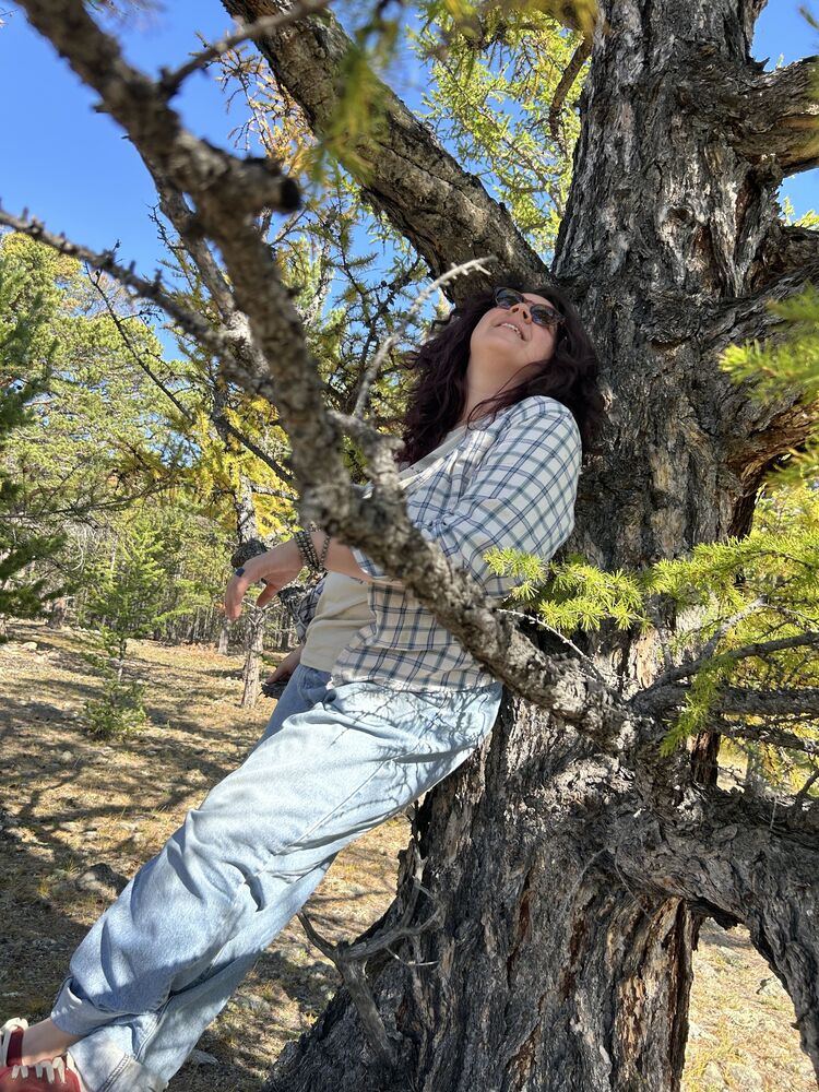 ���������� ������, ���� ������� ����, 36 ���, ������������ ��� ������, ����� � ���������, c�������� ���������