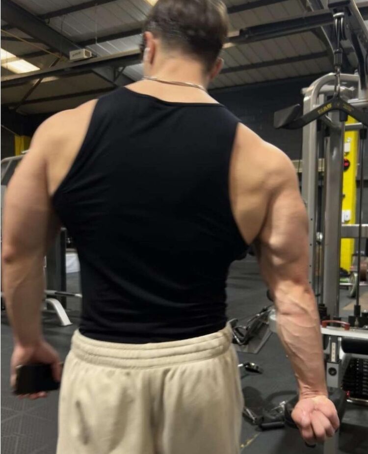 ���������� ���������, ���� ������� Wolf, 31 ���, ������������ ��� ������, c�������� ���������, ���������